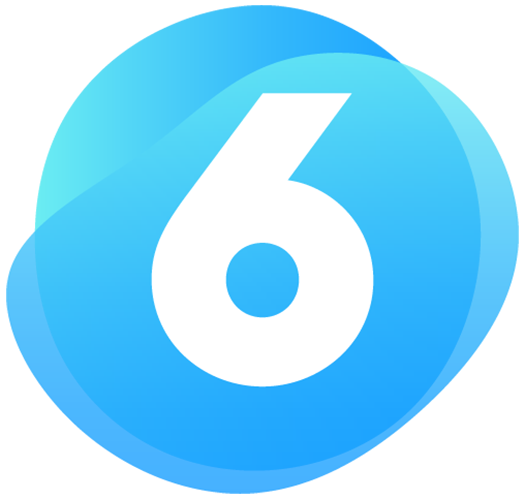 Shopware 6 Logo