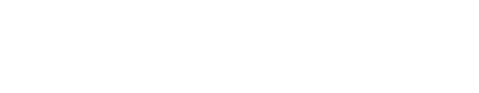 nexi-nets-logo-wei.png