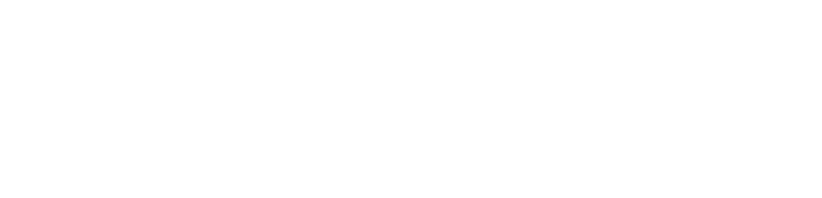 viafintech-logo_wei.png