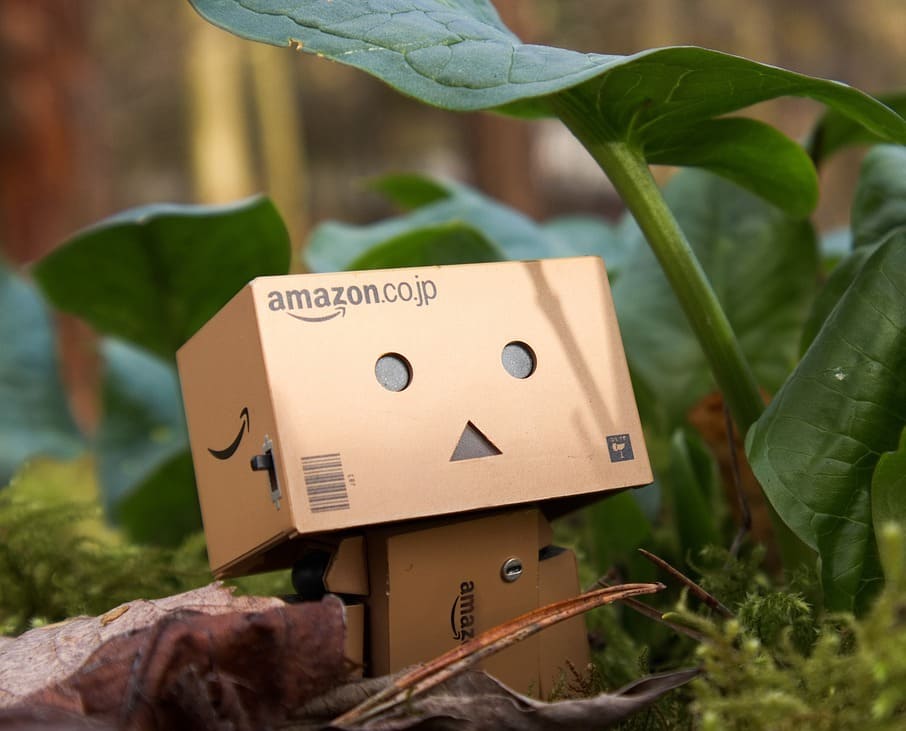 AmazonHaul.jpg