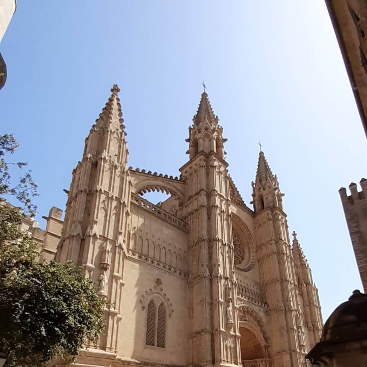 Kathedrale-Mallorca.jpg
