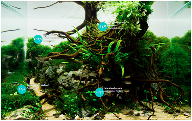 Aquarium mit HotSpots HotSpot Bild