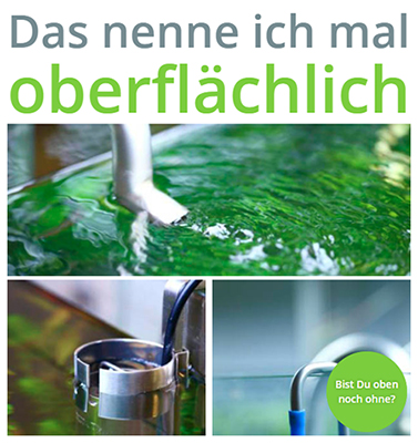 Süßer Startseiteneinstieg Lustige Startseite