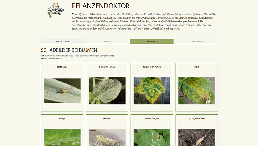Saemereien Pflanzendoktor