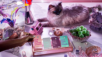 Klarna-smooth-cat.jpg